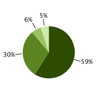 59% localized; 31% regional; 5% distant; 5% unknown