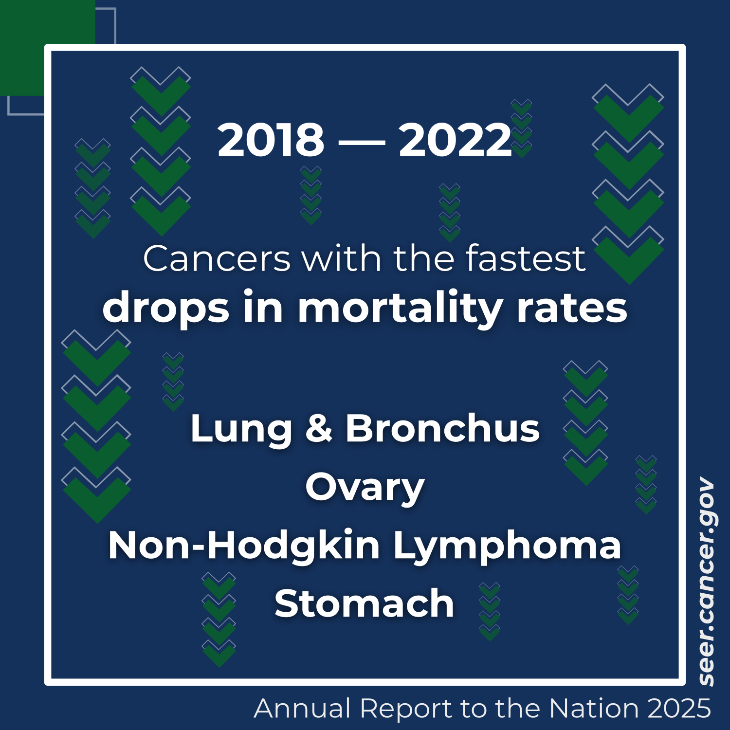 Text over a background pattern of chevron arrows pointing down. Cancers with the fastest drops in mortality rates: Lung & Bronchus, Ovary, Non-Hodgkin Lymphoma, Stomach.